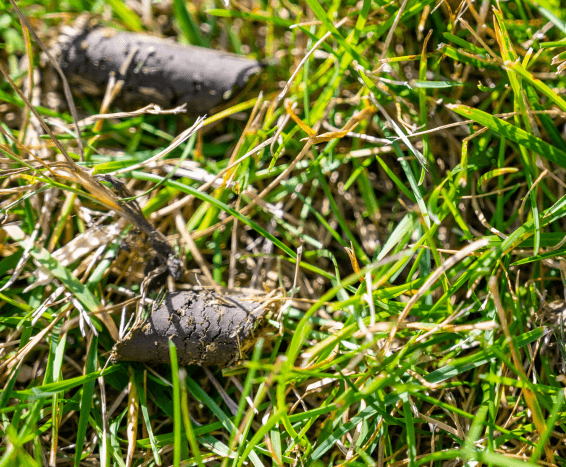 Aerations-Only_Lawn-Aeration-St-Louis-Aeration-Pellats Aerations-Only_Lawn-Aeration-St-Louis-Aeration-Pellats