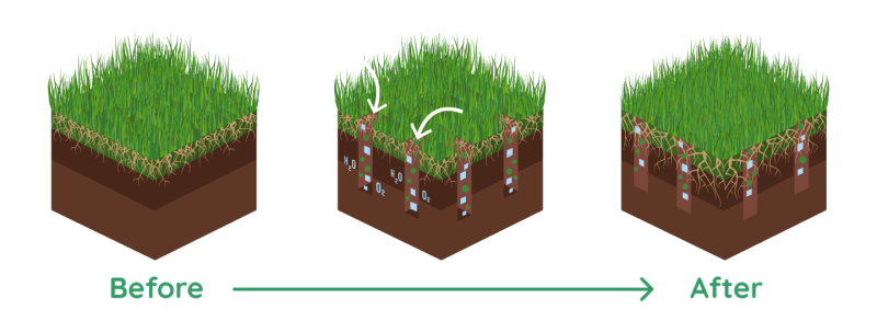 Lawn-Aeration-Process_Lawn-Aeration-in-St-Louis Lawn-Aeration-Process_Lawn-Aeration-in-St-Louis