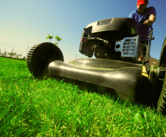 Mow-Before_Lawn-Aeration-in-St-Louis Mow-Before_Lawn-Aeration-in-St-Louis
