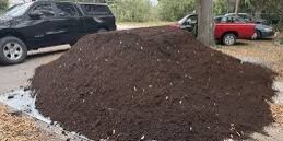 Black Magic Compost