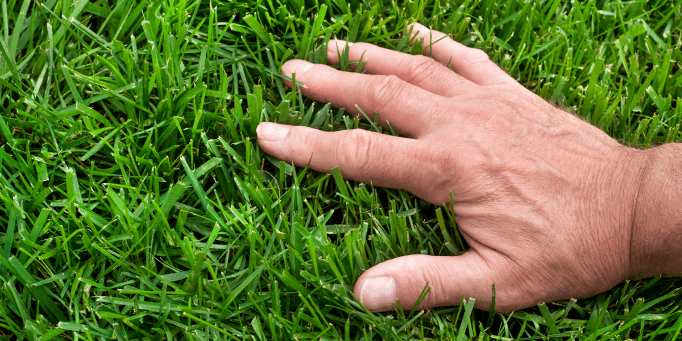 Lawn-Care-in-StLouis_Lawn-Aeration-in-St-Louis Lawn-Care-in-StLouis_Lawn-Aeration-in-St-Louis