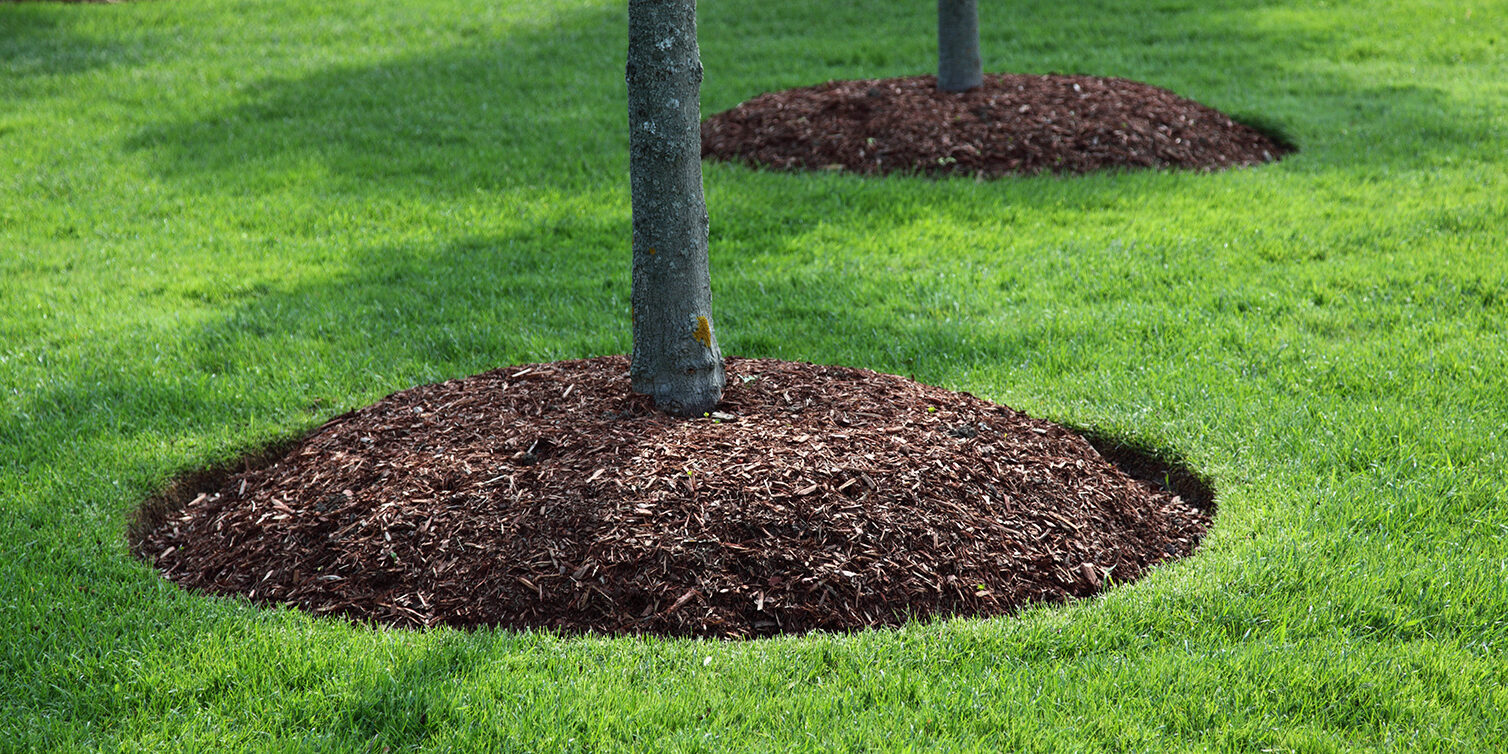 Mulch Installation