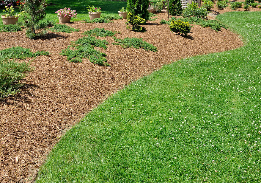 Natural Beauty Mulch