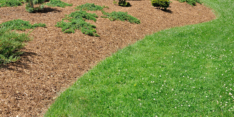 Natural Beauty Mulch