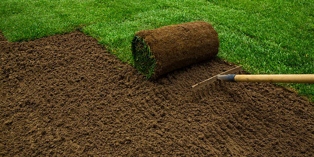 Gardener applying turf rolls in the backyard