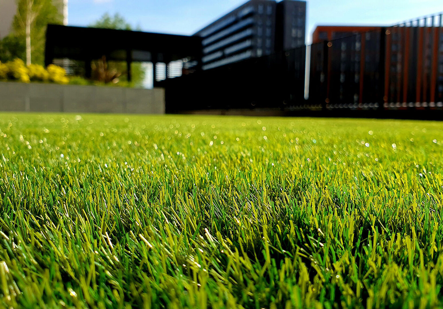mole-lawn-care-services-st-louis mole-lawn-care-services-st-louis